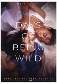 Poster do filme Days of Being Wild – Dias Selvagens (reposição) / Ah Fei jing juen / Days of Being Wild (1990)