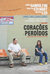 Poster do filme Corações Perdidos / Welcome To the Rileys (2010)