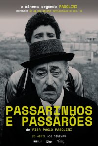 Poster do filme Passarinhos e Passarões (Ciclo o Cinema Segundo Pasolini) / Uccellacci e uccellini (1966)