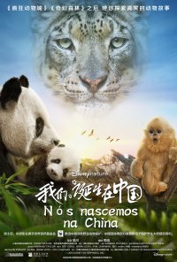 Poster do filme Nós Nascemos na China / Born in China (2016)