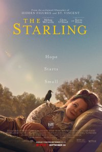 Poster do filme O Estorninho / The Starling (2021)
