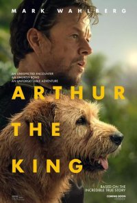 Poster do filme Arthur Amigo Para Sempre / Arthur the King (2024)