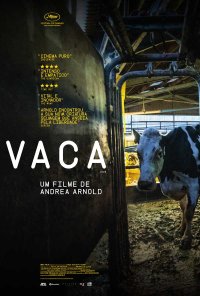 Poster do filme Vaca / Cow (2022)
