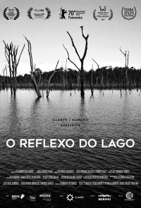 Poster do filme O Reflexo do Lago (2020)