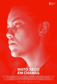 Poster do filme Mato Seco em Chamas / Mato seco em chamas (2022)