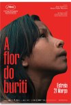 Trailer do filme A Flor do Buriti / Crowrã (2024)