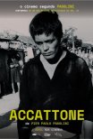 Accattone (Ciclo o Cinema Segundo Pasolini)