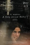 PJ Harvey: A Dog Called Money