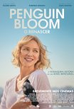 Trailer do filme Penguin Bloom - O Renascer / Penguin Bloom (2021)