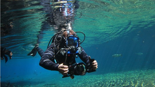 "Nadando Com Monstros" estreia em abril no Discovery Channel
