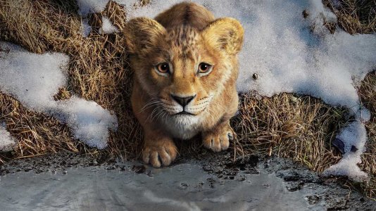 "Mufasa: O Rei Leão" - Disney revela trailer e imagem promocional do novo filme