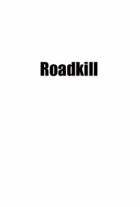 Poster da série Roadkill (2020)