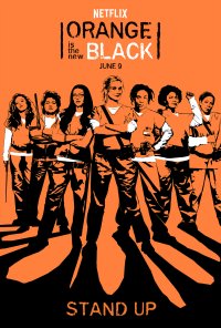 Poster da série Orange Is the New Black (2013)