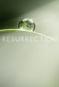 Poster da série Resurrection (2013)